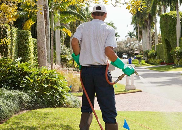 About Gnadenhutten OH Pest Control